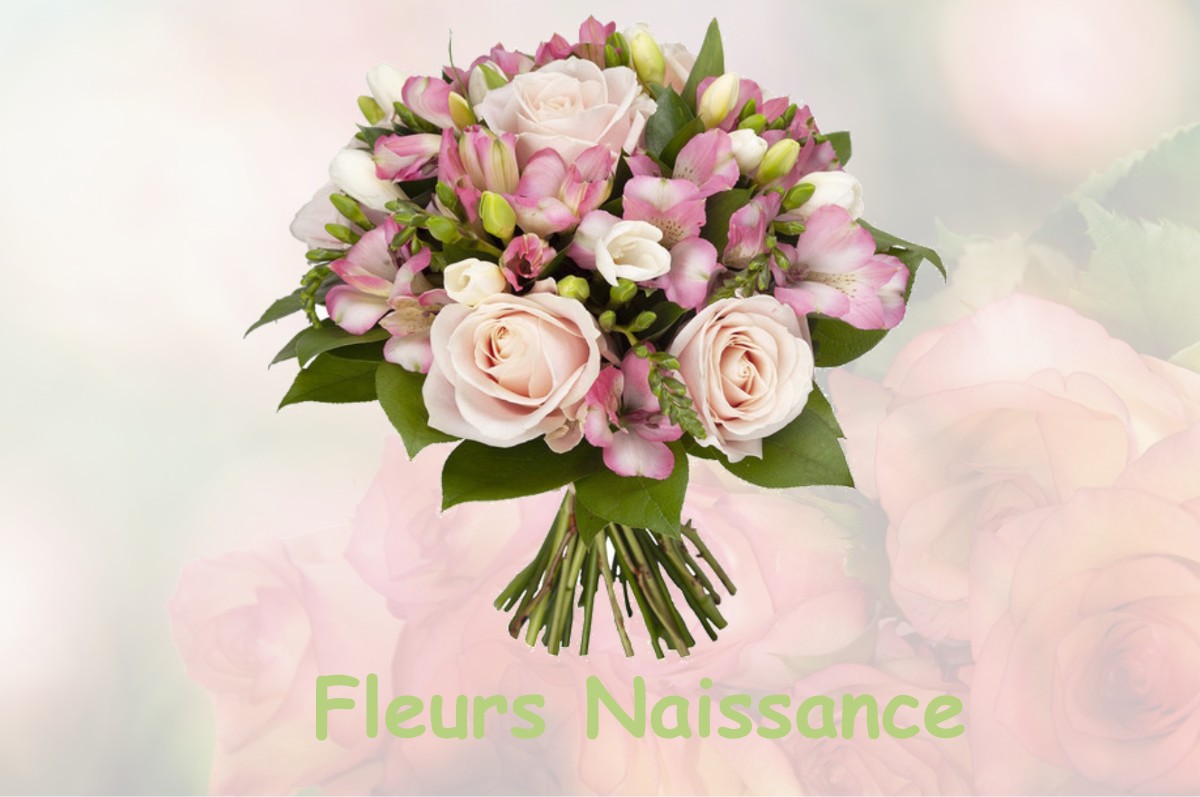 fleurs naissance BEVENAIS