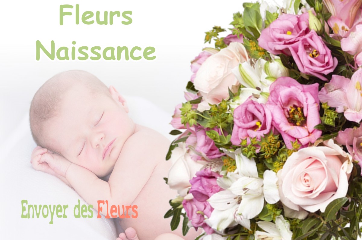 lIVRAISON FLEURS NAISSANCE à BEVENAIS